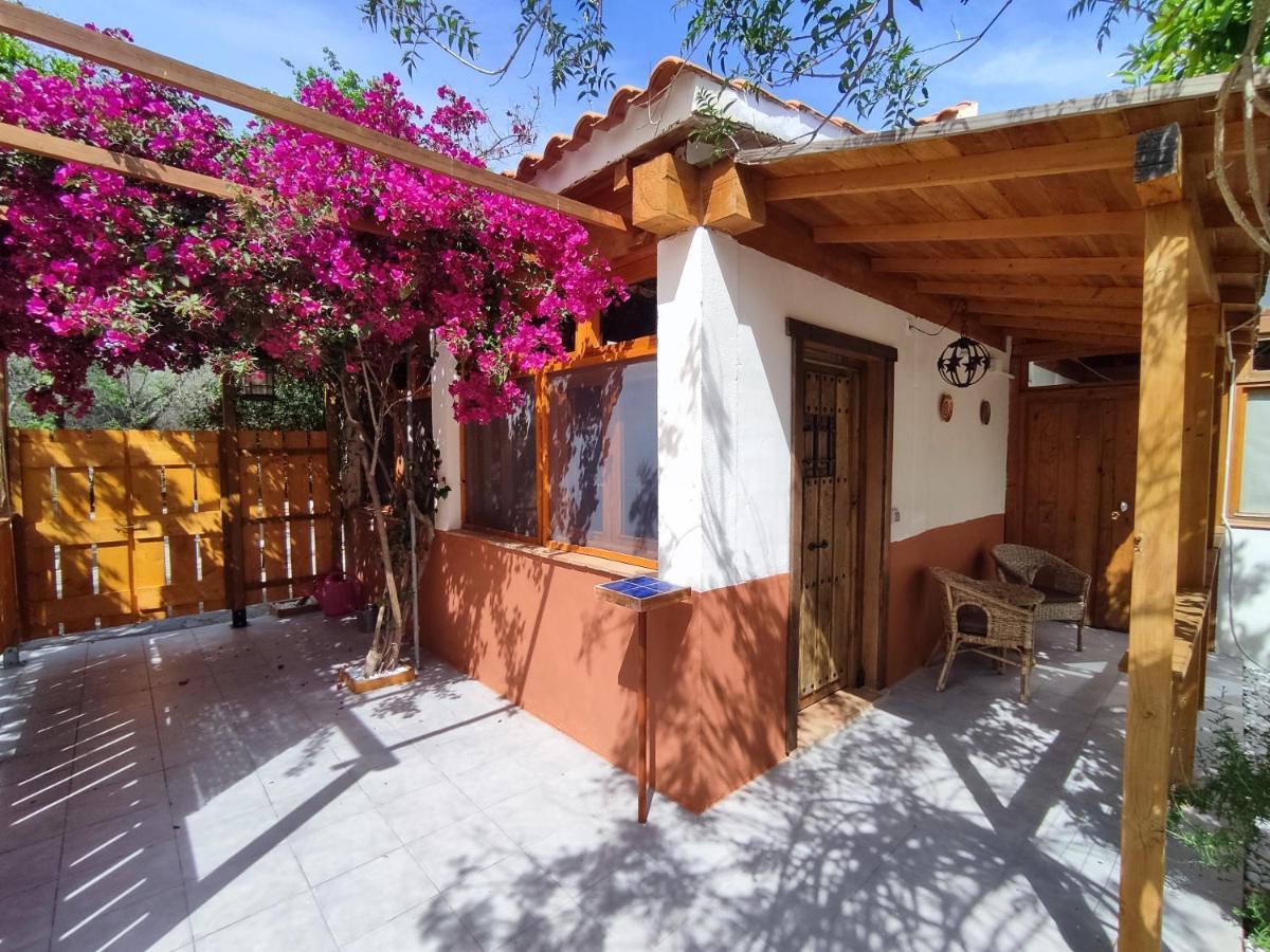 קרמונה Apartamento El Grifo מראה חיצוני תמונה